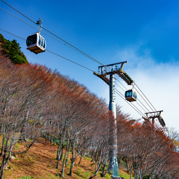 霊峰信仰とロープウェイ能勢妙見山の早春