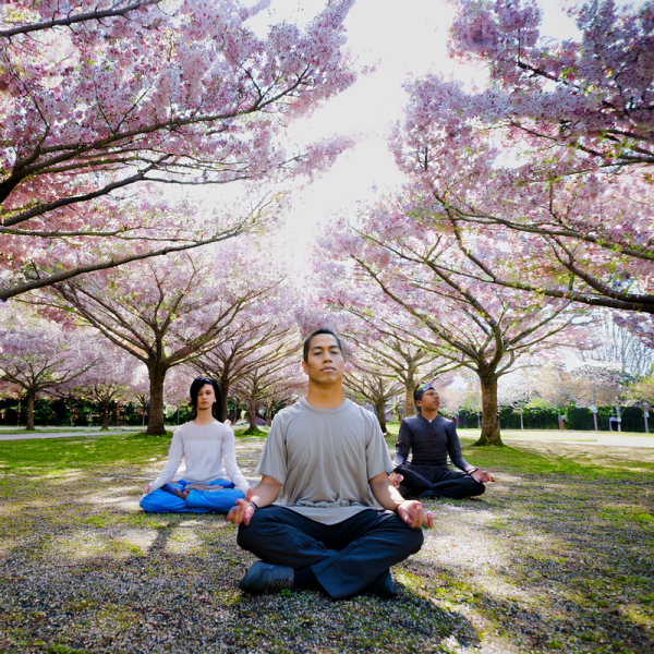 ストレスと社会的証明の狭間で見つける心のバランス