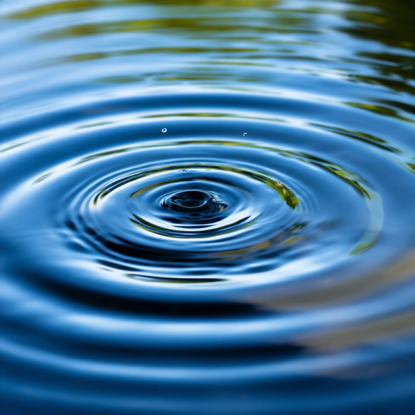 バイオインスパイアードデザインで紐解くドップラー効果とニュートン流体の関係