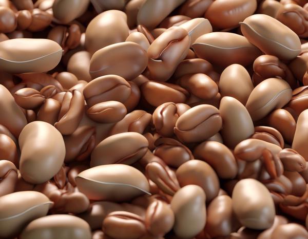 豆で健康革命!毎日の生活に取り入れたい、栄養たっぷりの豆の力で体を元気にする方法